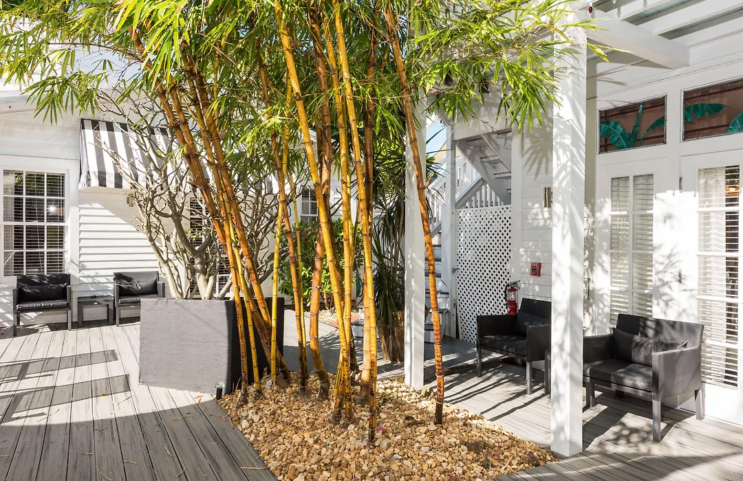 Alexander's Guesthouse-Adult Exclusive, LGBTQ Friendly-1