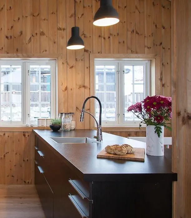 Modern Mountain Cabin With Views At Filefjell-1