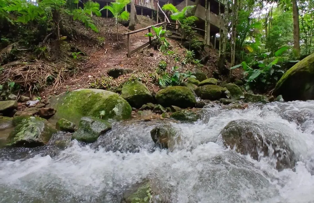 Canto Da Cachoeira Relaxe Ao Som Das Aguas-1