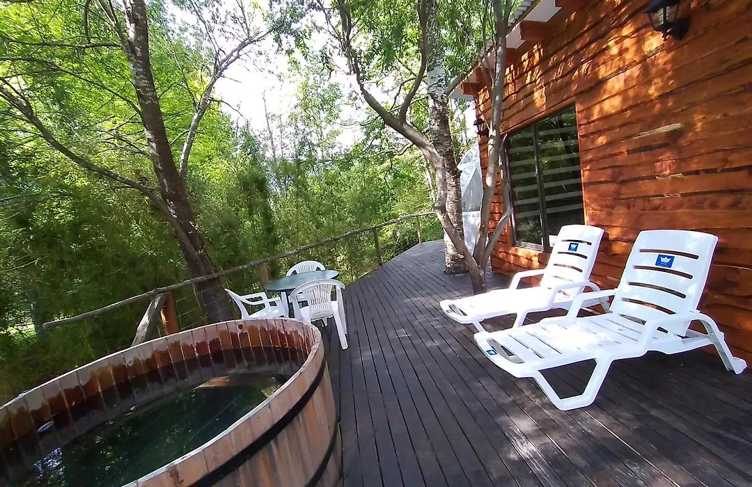 Domos Conguillio - Glamping Domo-1
