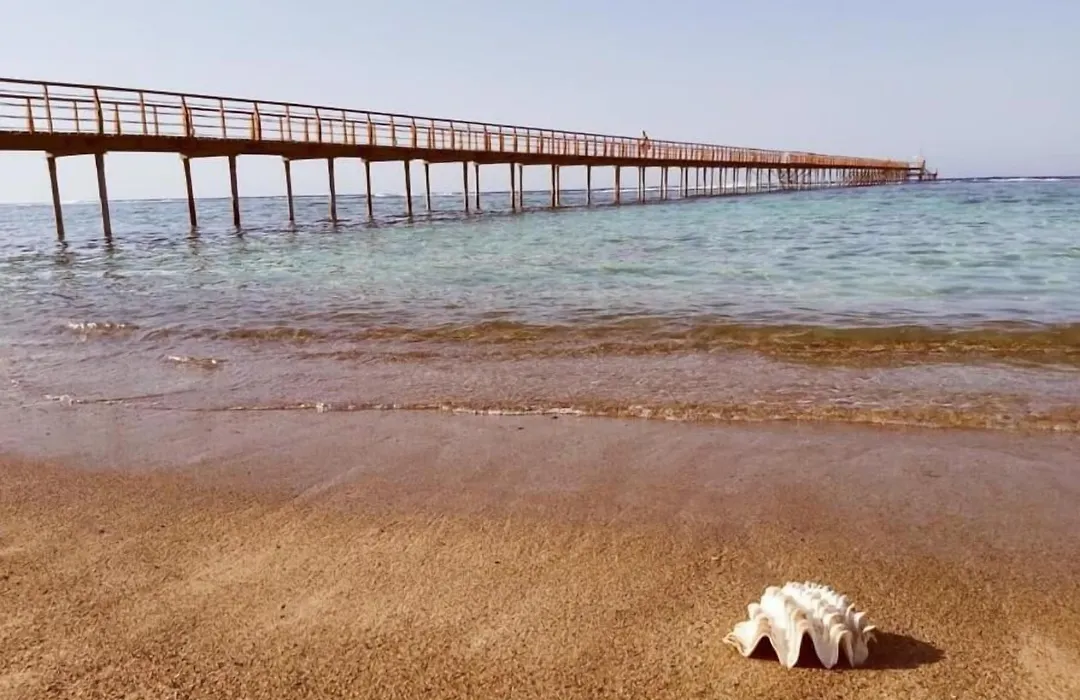 Lazuli Hotel, Marsa Alam-1