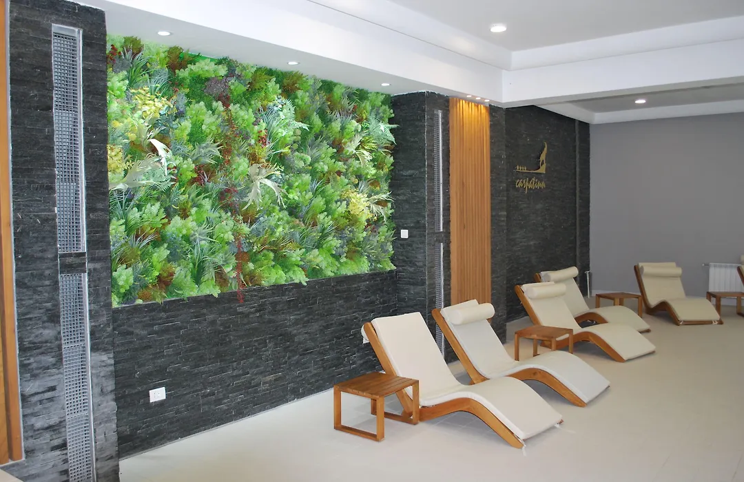 Hotel Carpat Inn-1