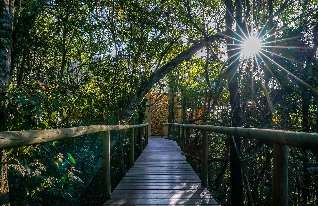 Trogon House And Forest Spa-1