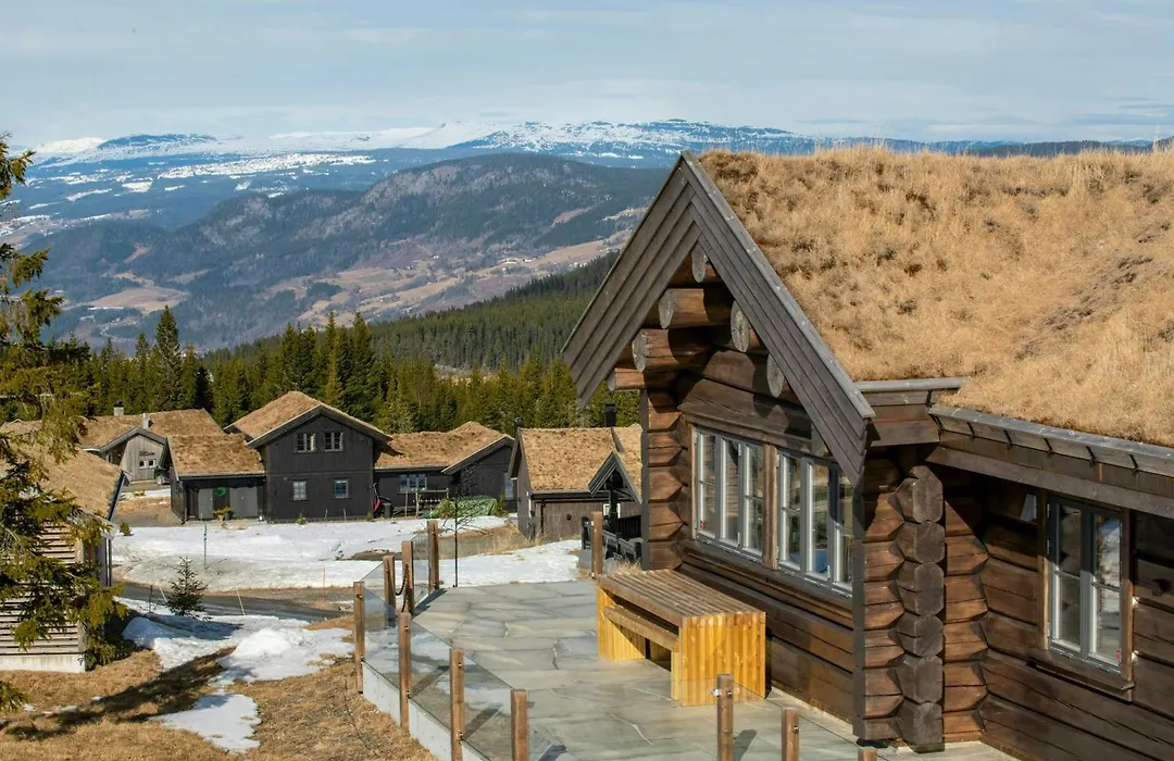Luxurious Log Cabin At Mostertoppen-1