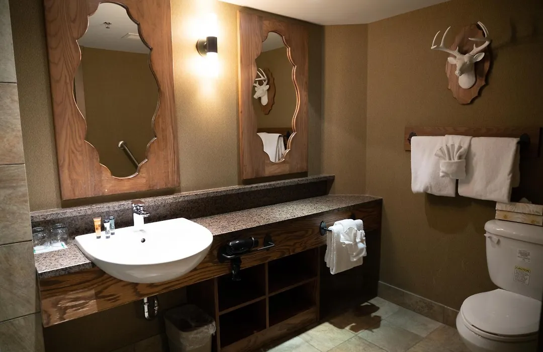Banff Caribou Lodge And Spa-1