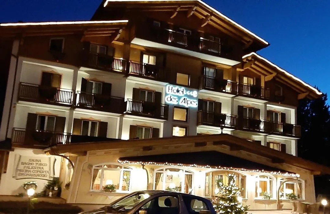 Hotel Des Alpes-1