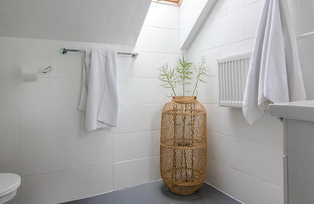 Willa Pod Terma - Pokoje Pod Stokiem Kotelnica I Przy Termie Bania-1