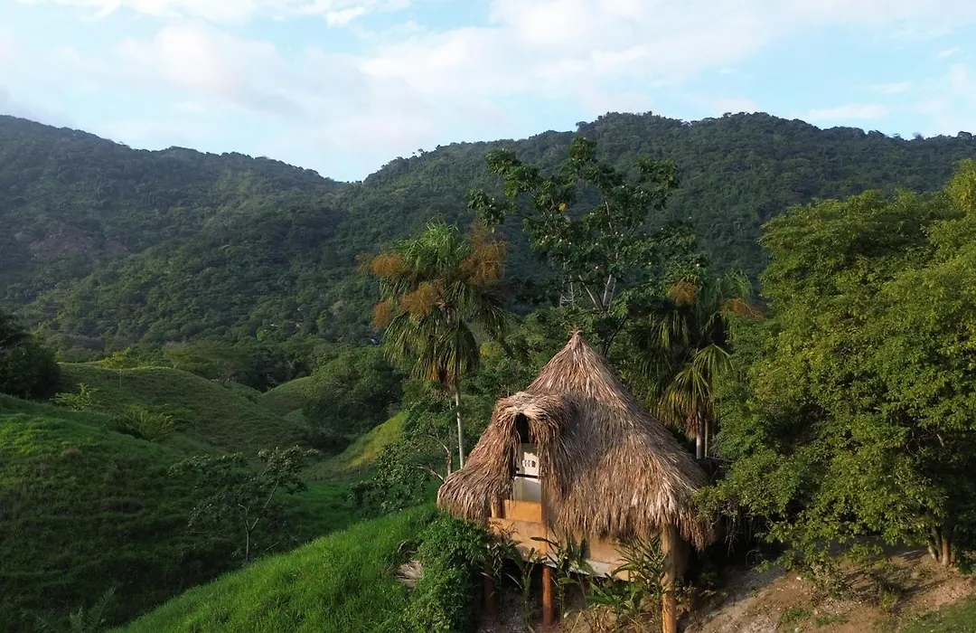 The Valley Tayrona Hostel- A Social Jungle Hostel-1
