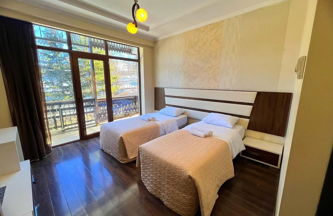 Travel Inn Bakuriani-1