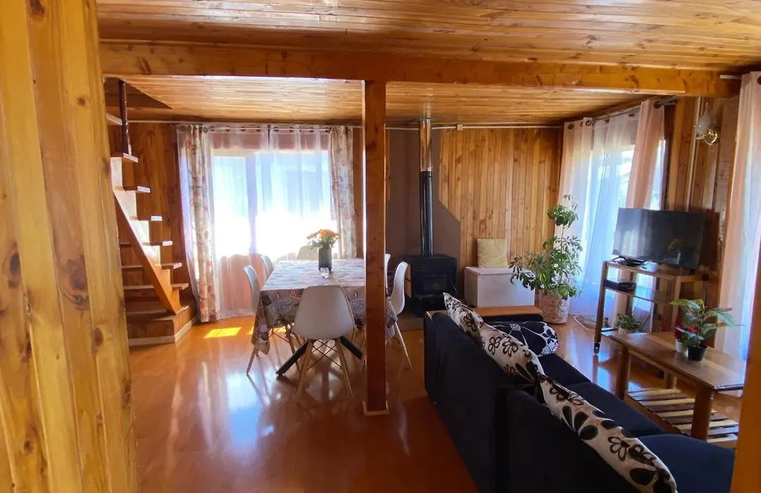 Casa Amplia Queule-1