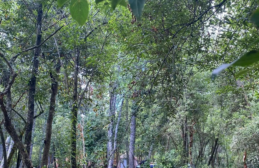 Camping Aldea Molco-1