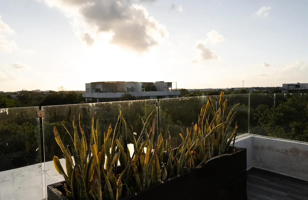 Amazing Penthouse & Apartment With Private Pool, Terrace , Roof Top And Hot Tub In Tulum Jungle-1