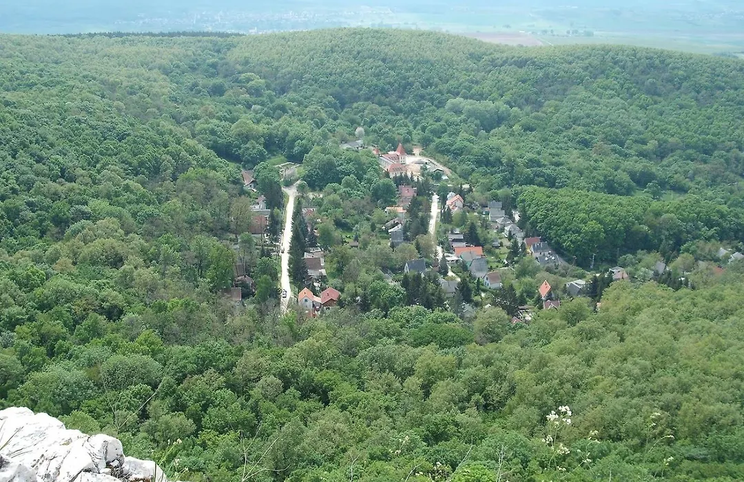Vista & Ruins - Forest Lodge In Breathtaking Scenery-1