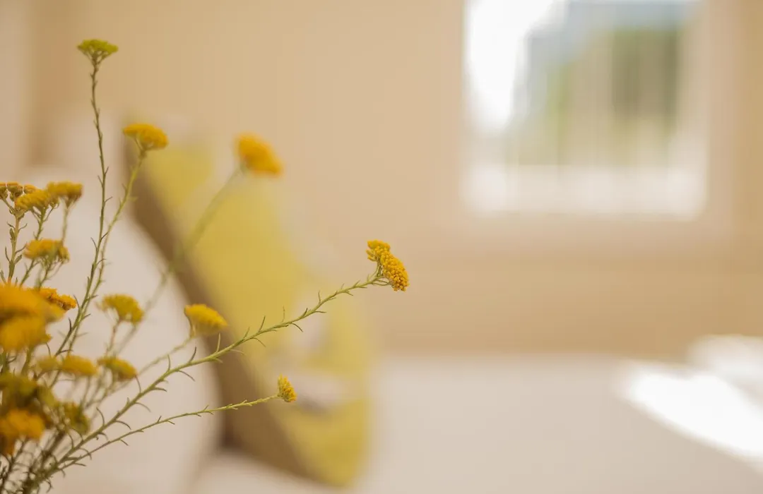 Charming Historic Home In Central Stellenbosch-1