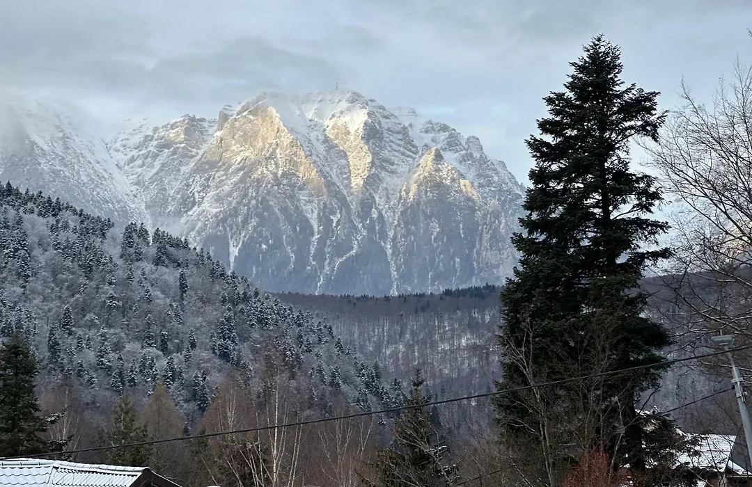 Twin Cabins Azuga-1