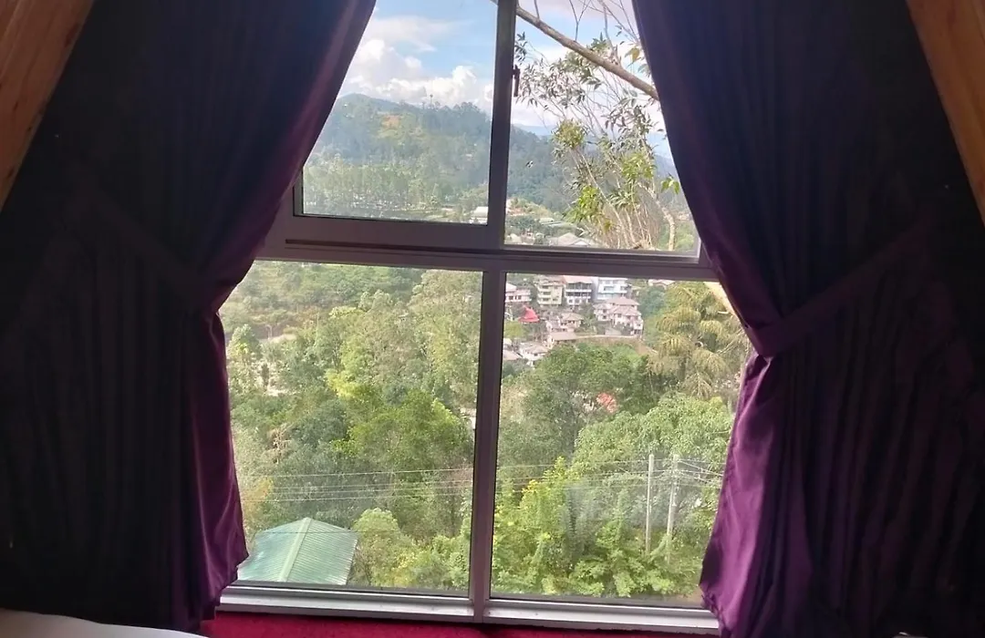 Bliss den-1