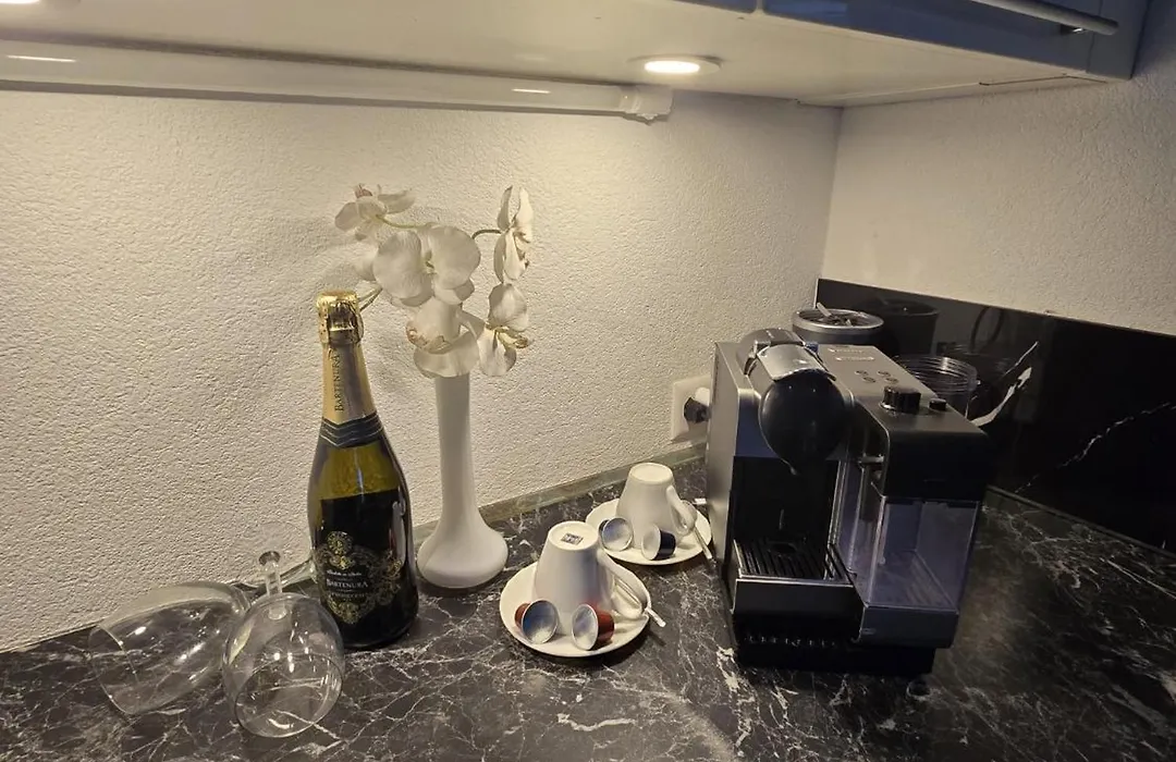 Exklusives 3 Zimmer Apartment Davos ca 7 Min Fussweg zum WEF Kongresszentrum-1