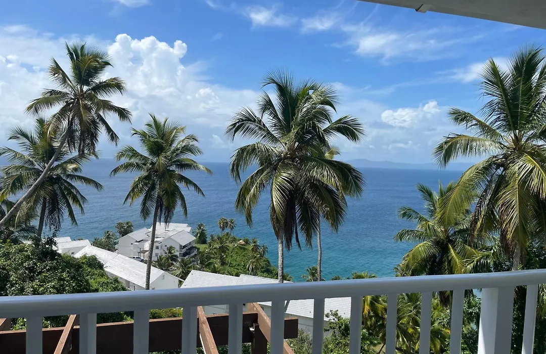 Spectacular Ocean View 1-Bedroom Condo, Vista Mare, Samana, Dr-1