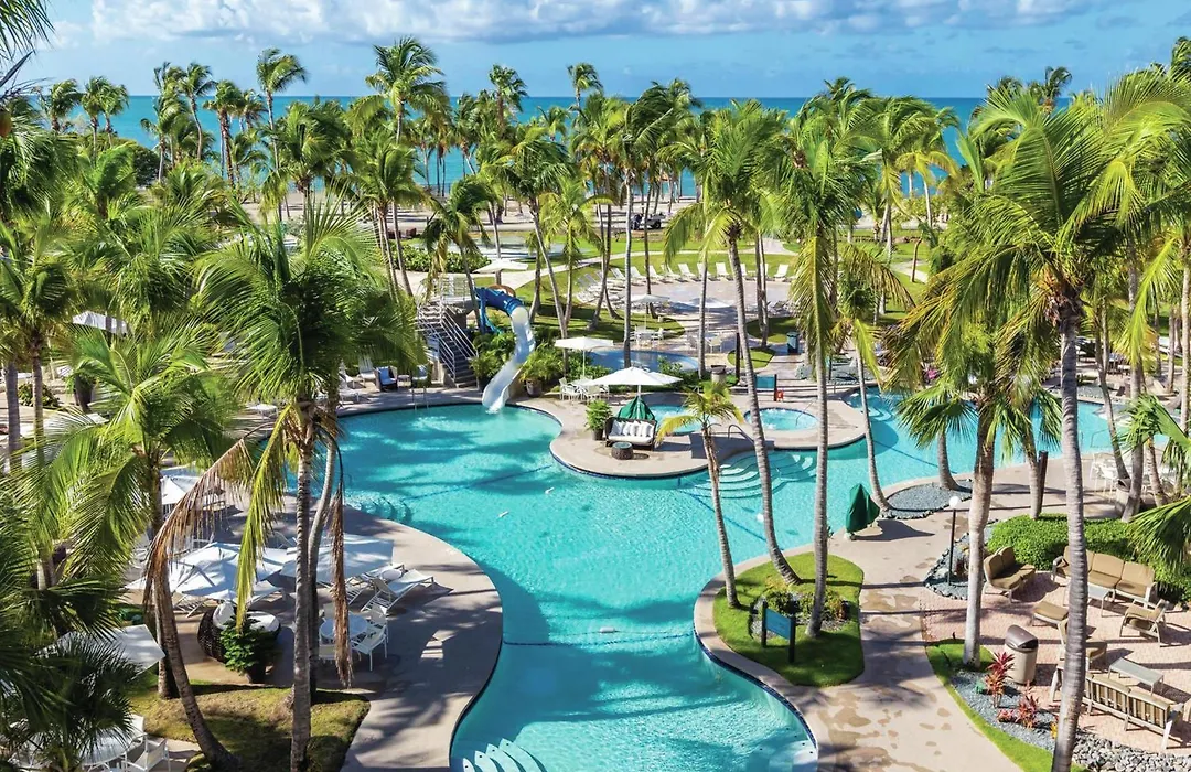 Hilton Ponce Golf & Casino Resort-1