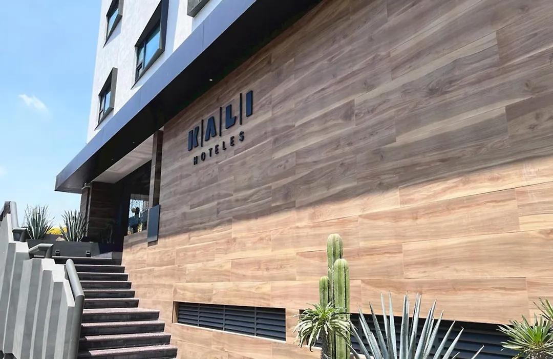Kali Vallejo Mexico City-1