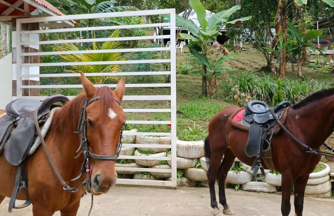 Glamping Eco Azulejo-1