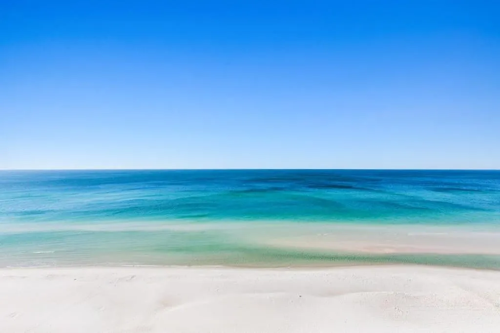 Shores Of Panama 1001-1