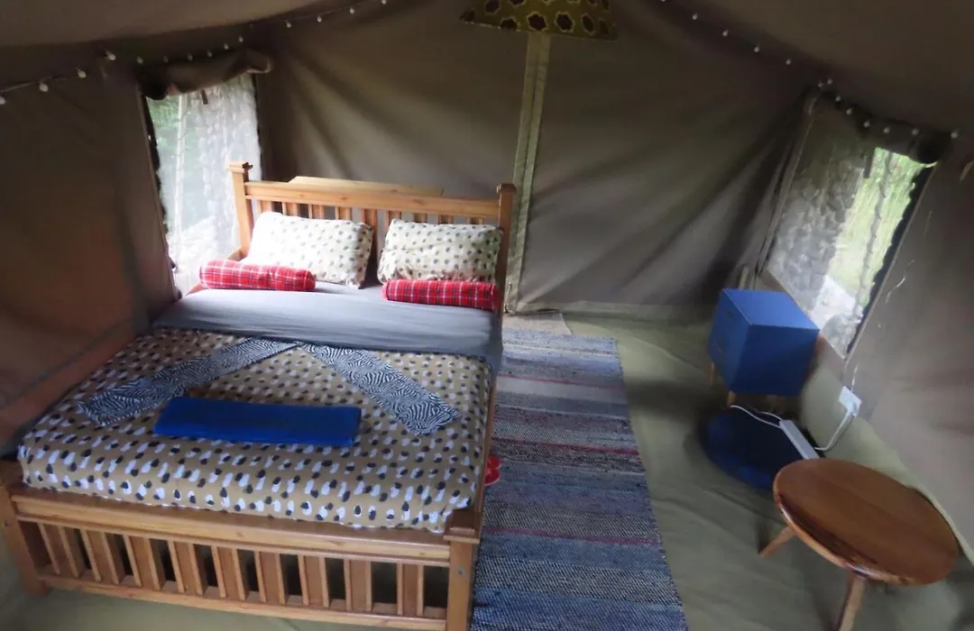 Saitoti Mara Safaris-1