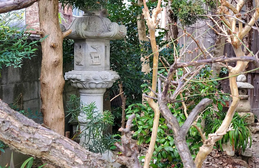 Camellia Guest House 椿の宿 坪庭付お風呂 庭付日本家屋一棟貸 なら燈花会キャンペーン! やさしい灯りの風景は癒しと笑顔をあなたに!! 無料ガイド可-1