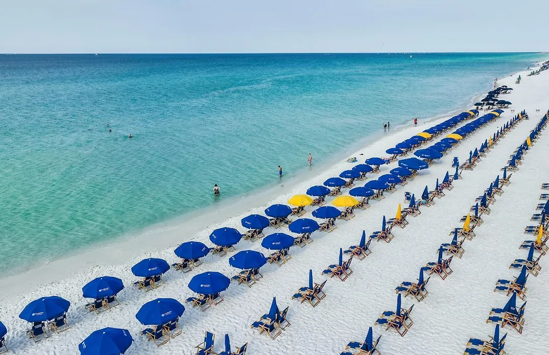 Pelican Beach 102 - Beach Daze-1