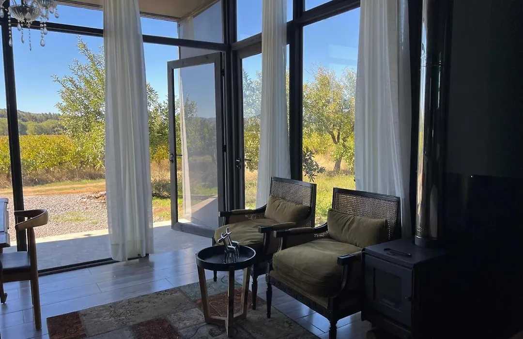 Loft Industrial Colchagua-1