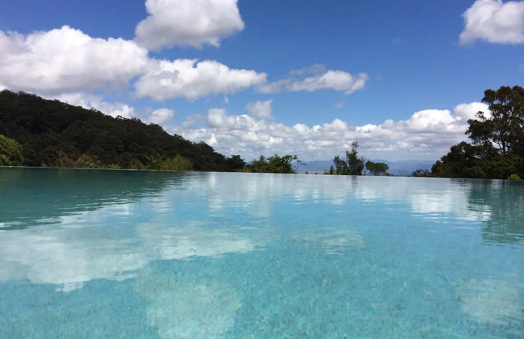 O'Reilly'S Rainforest Retreat-1