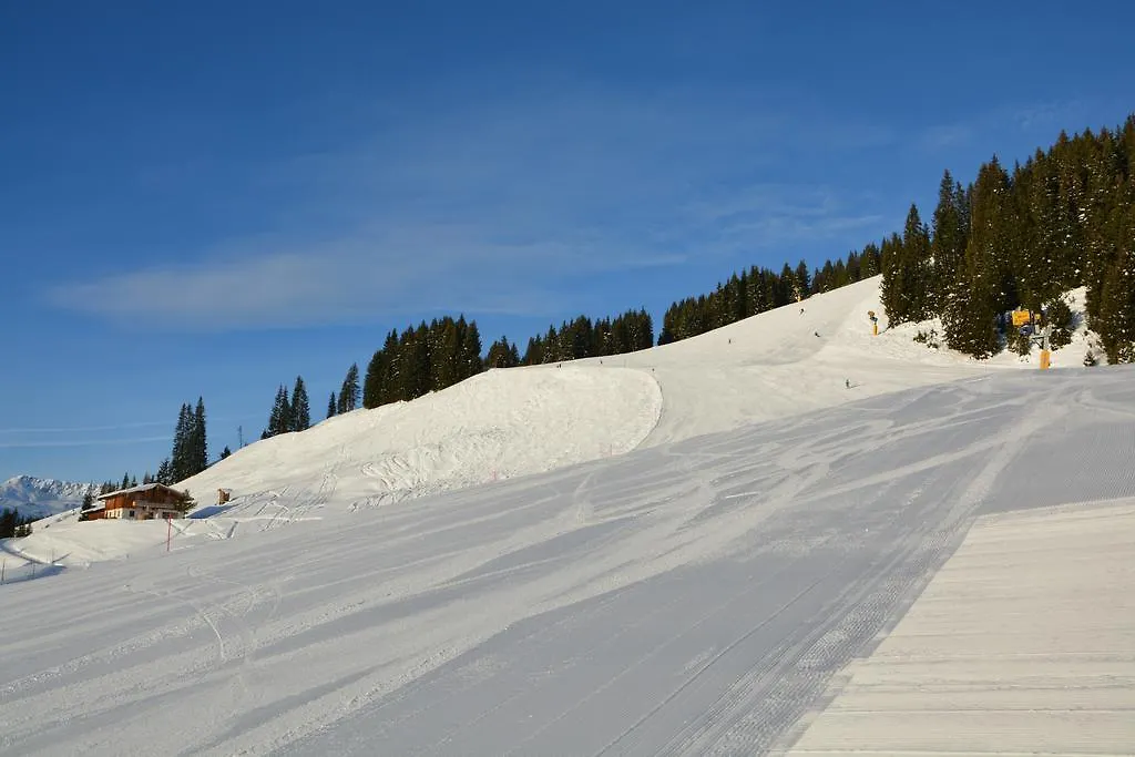Wallegg Lodge - Alpine Premium Chalet - Ski In-Ski Out - Real Alpine Location Saalbach-1