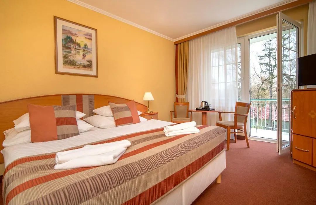 Hotel Spa Heviz-1