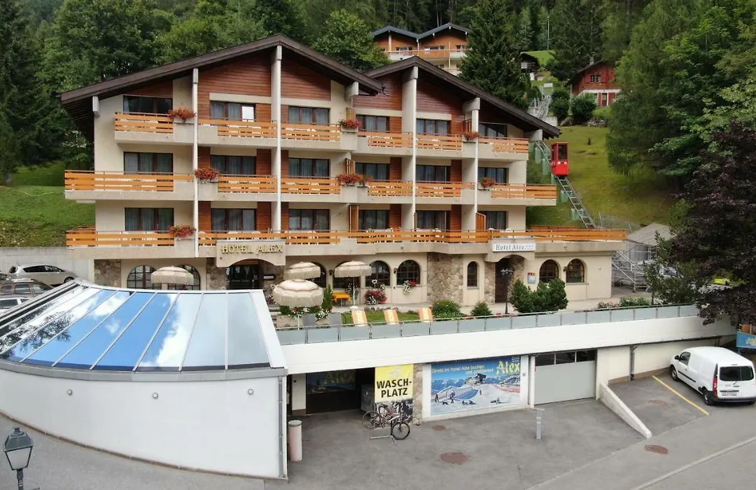 Hotel Alex-1