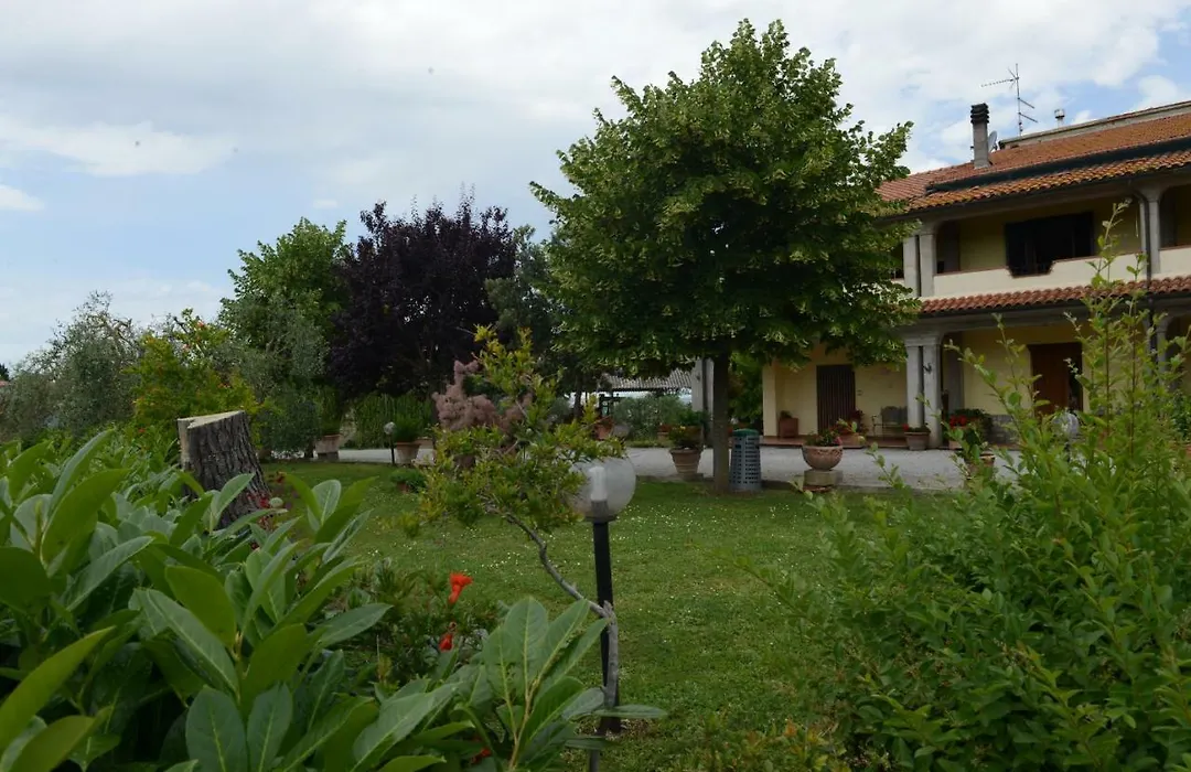 Gli Ulivi-1