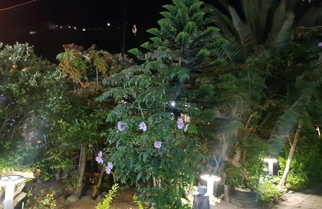 Ricky'S House-1