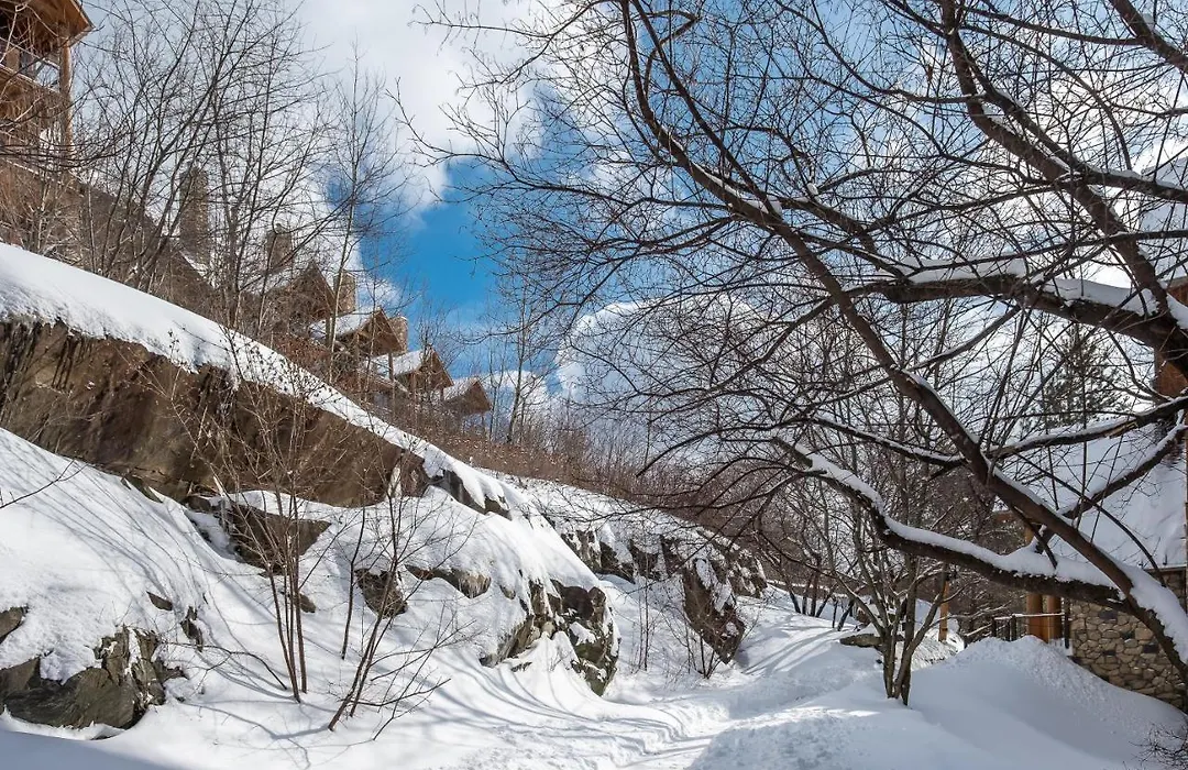 Equinoxe By Tremblant Platinum-1