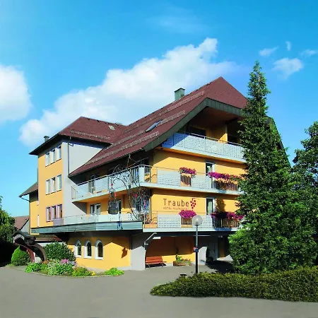 Hotel Traube Lossburg-3