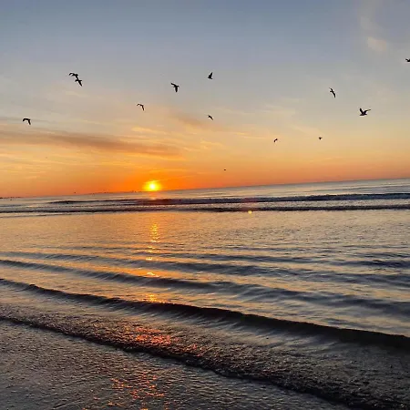 Apartament Somnila, Mamaia Nord-2