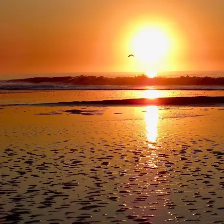 Maitenas Pinamar-2
