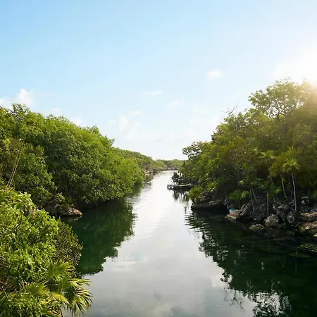 Hotel Xcaret Arte - All Parks All Fun Inclusive - Adults Only-3