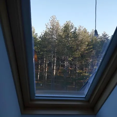 Apartman Aida Zlatibor-2