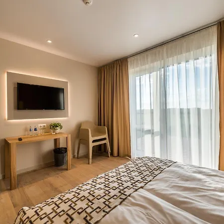 Hotel Mikelis-2