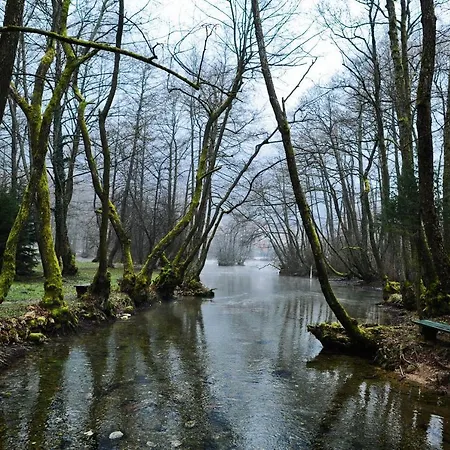 Villa Vrelo Bosne-3