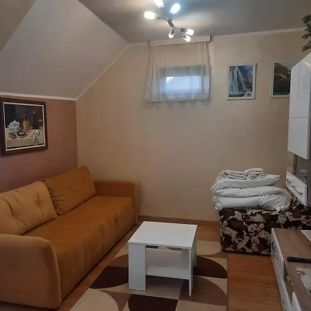 Fit Apartman Zlatibor-2