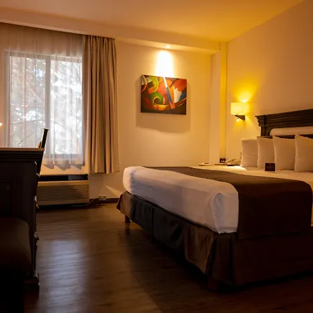 Hotel Victoria Express-3