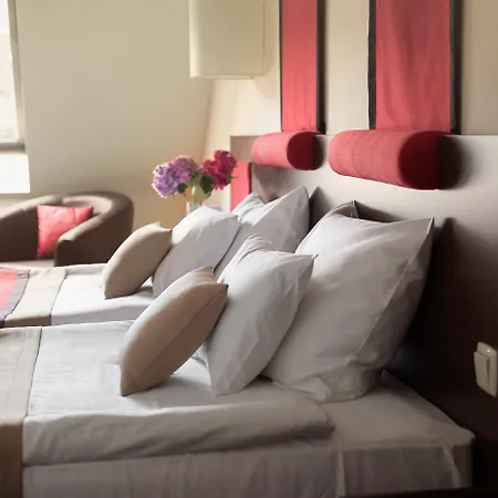 Rubin Wellness&Conference Hotel-3