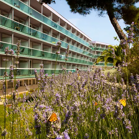 Hotel Aurora-2