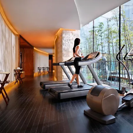 Himalayas Hotel Shanghai-2