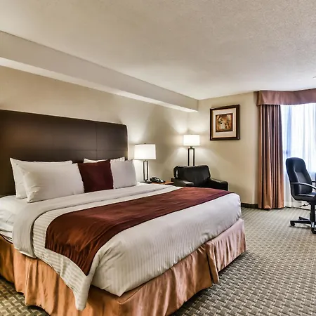 Best Western Plus Cambridge Hotel-2